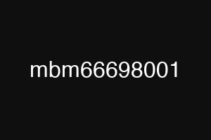 mbm66698001