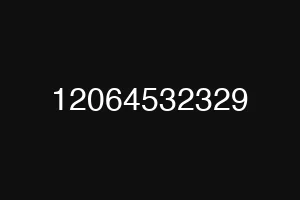 12064532329