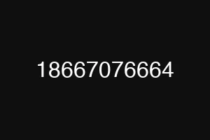 18667076664