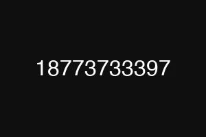 18773733397