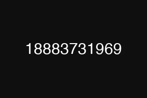 18883731969