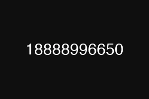 18888996650