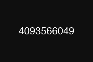 4093566049