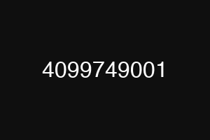 4099749001