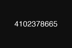 4102378665