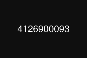 4126900093