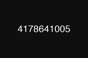 4178641005