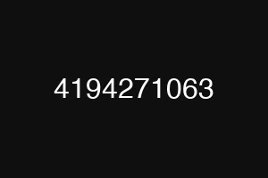 4194271063