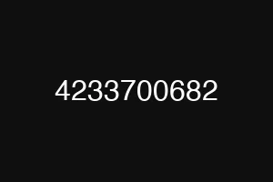 4233700682
