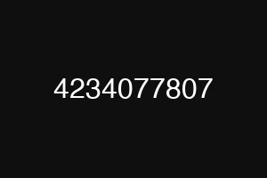 4234077807