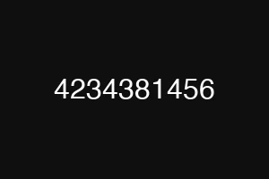 4234381456