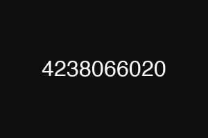 4238066020