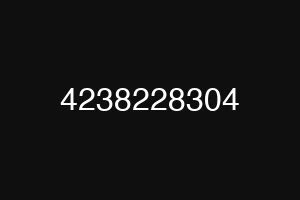 4238228304