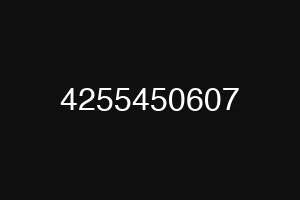 4255450607
