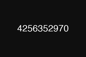 4256352970