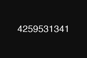 4259531341