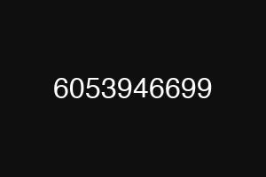 6053946699