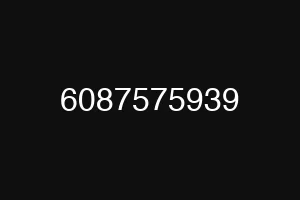 6087575939