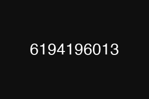 6194196013