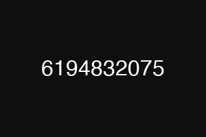 6194832075