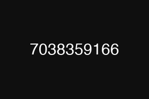 7038359166