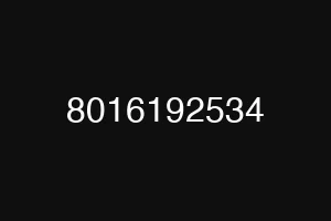 8016192534