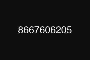 8667606205