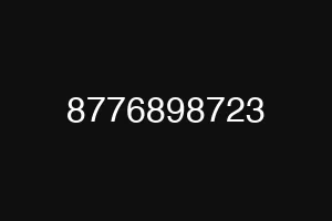 8776898723