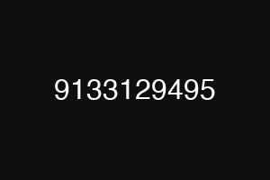 9133129495