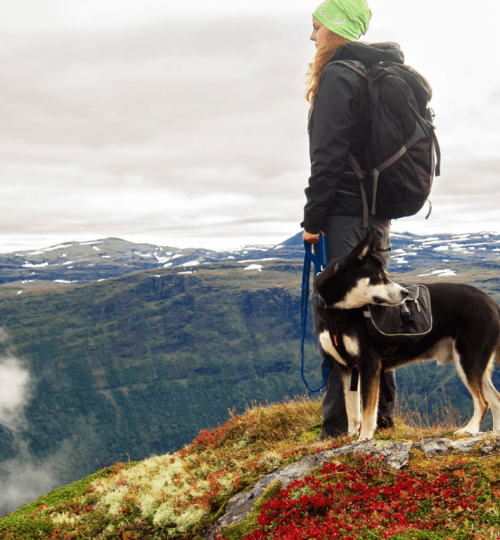 Solo Hiking Top Tips for Staying Safe on the Trails